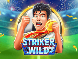 Striker Wild game thumbnail